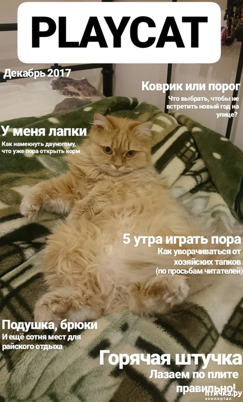 ���� 1: ����� ������ ������� ��� �������!