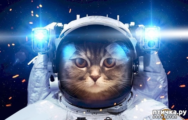 ���� 1: ����� � �������