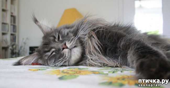 ���� 4: ����-��� � ������� � ������ �������