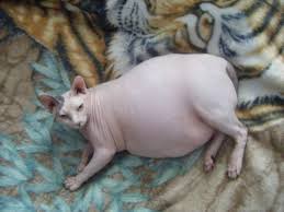 ����: ������ �������� ���� ����� �������� � ������� ���������