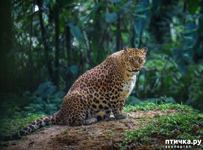 ���� 2: ������ �������� ���� ����� �������� � ������� ���������