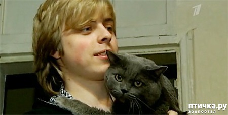 ���� 4: ������������ ������� � ����� � ������, ����������� �����