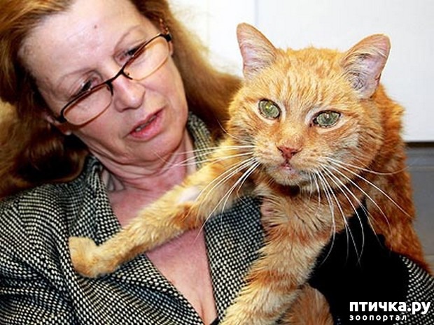 ���� 3: ������������ ������� � ����� � ������, ����������� �����