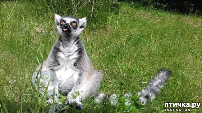 ���� 5: ������ �������� ���� ����� �������� � ������� ���������