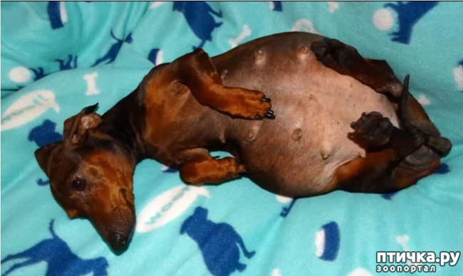 ���� 6: ������ �������� ���� ����� �������� � ������� ���������