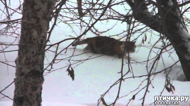 ���� 5: ������������ ������� � ����� � ������, ����������� �����