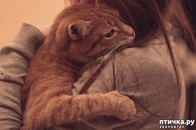 ���� 6: ������������ ������� � ����� � ������, ����������� �����