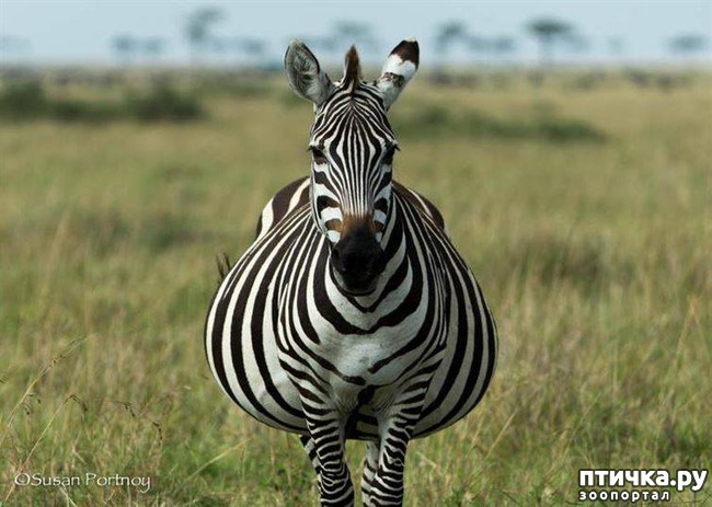 ���� 4: ������ �������� ���� ����� �������� � ������� ���������