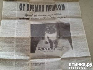 ����: ������������ ������� � ����� � ������, ����������� �����