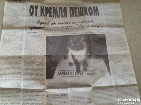 ���� 1: ������������ ������� � ����� � ������, ����������� �����