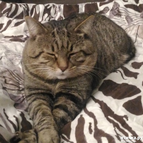 ���� 3: ������� �������������, ���� ����� ������.