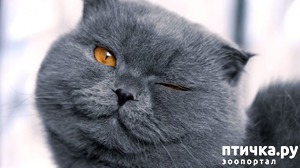 ����: ����� ��� ������)))