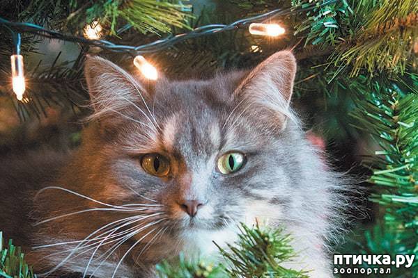 ���� 1: 12 ��������� ��������� �������� ���������, ����� � ���� ���� �����