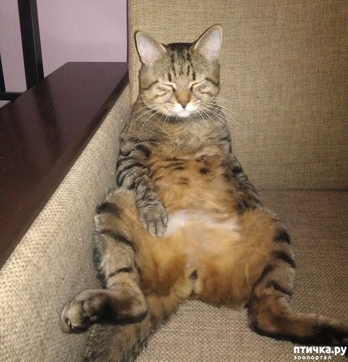 ���� 2: ������� �������������, ���� ����� ������.