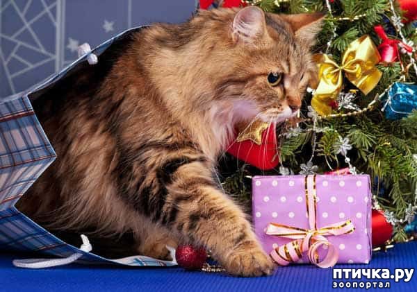 ���� 3: 12 ��������� ��������� �������� ���������, ����� � ���� ���� �����