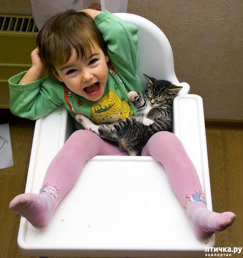 ���� 1: ���������� ���������?