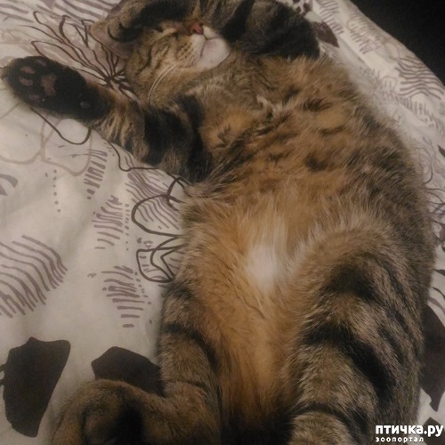 ���� 5: ������� �������������, ���� ����� ������.