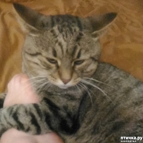 ���� 4: ������� �������������, ���� ����� ������.