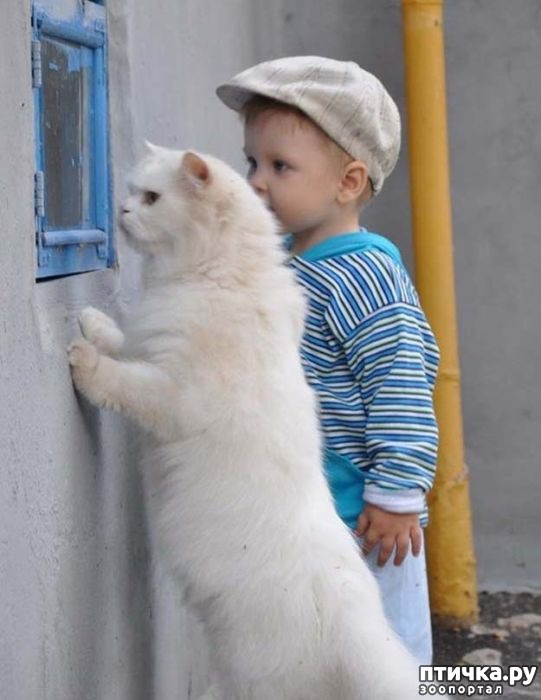 ���� 4: ���������� ���������?