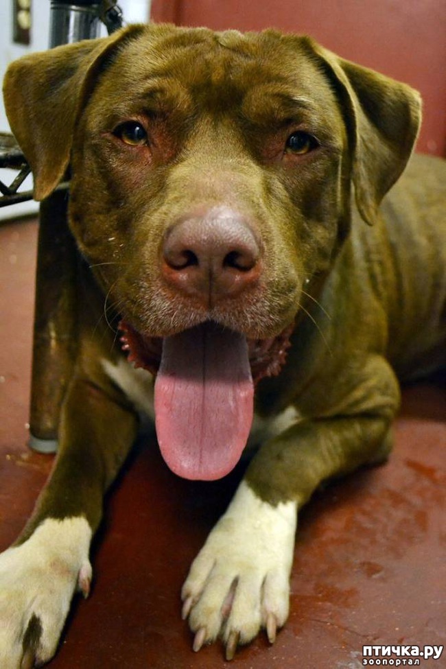 ���� 3: ��� ��� ��� ����� ����� � ��������, ������� �������� � ��������