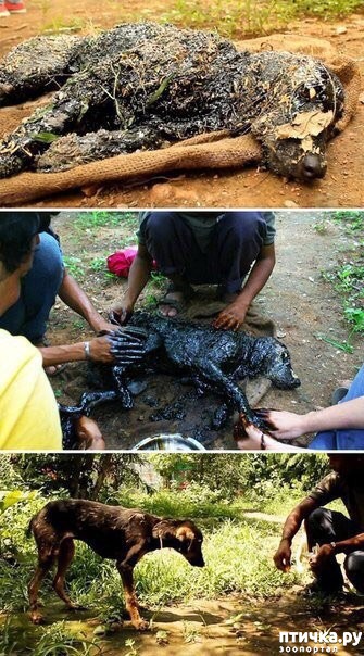 ���� 2: �� � �����