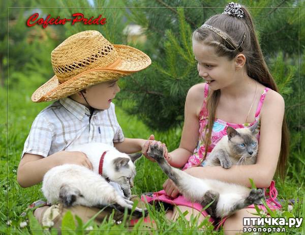 ���� 3: ���������� ���������?