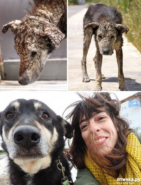 ���� 8: �� � �����