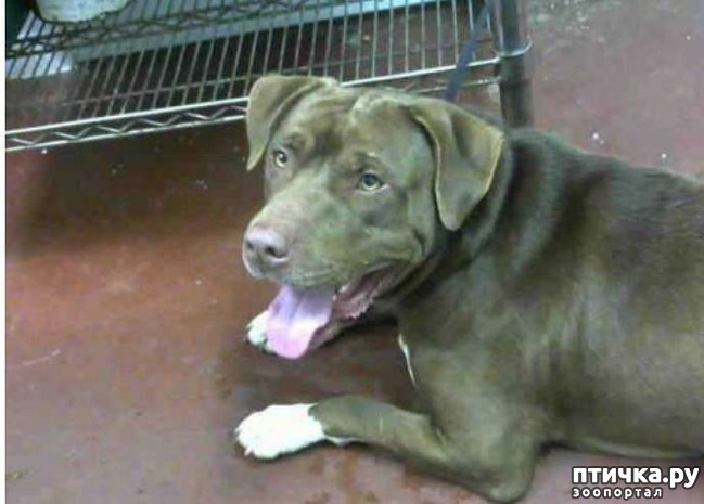 ���� 5: ��� ��� ��� ����� ����� � ��������, ������� �������� � ��������