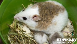 ����: �������� ��� ���������� ����