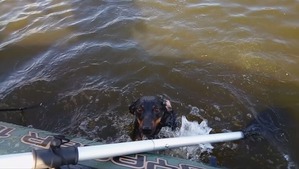 ����: ���� ������: ������ ��� ���� :D