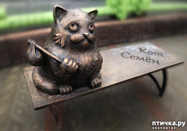 ���� 2: ������������ ������� � ����� � ������, ����������� �����