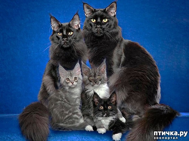 ���� 1: ����-��� � ������� � ������ �������