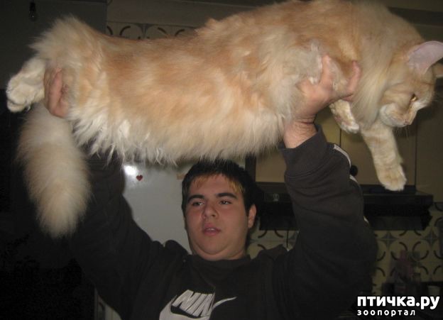 ���� 5: ����-��� � ������� � ������ �������