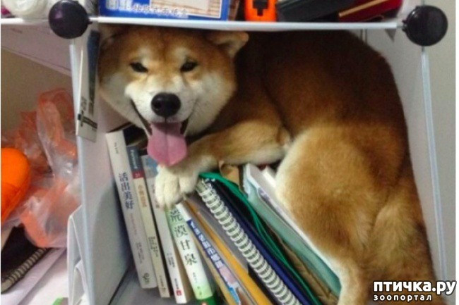 ���� 8: ��������, ������� ����� �������� ����� ������ �������� � ����� ����������� ������)))