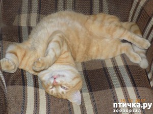 ����: � ������� ��� �� ����...