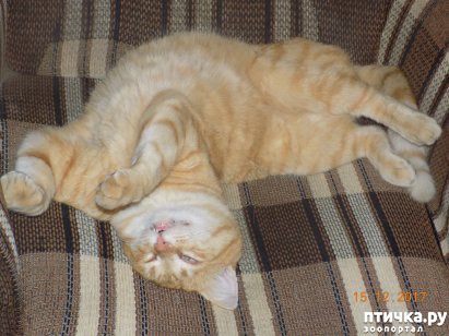 ���� 1: � ������� ��� �� ����...