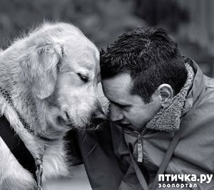 ����: �������, ������...