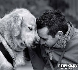 ���� 1: �������, ������...