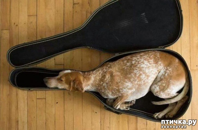 ���� 10: ��������, ������� ����� �������� ����� ������ �������� � ����� ����������� ������)))