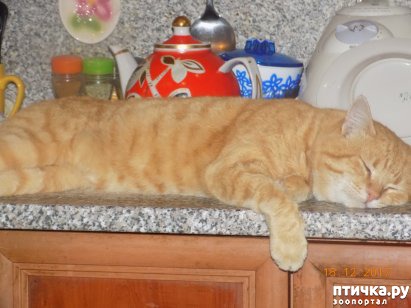 ���� 2: � ������� ��� �� ����...