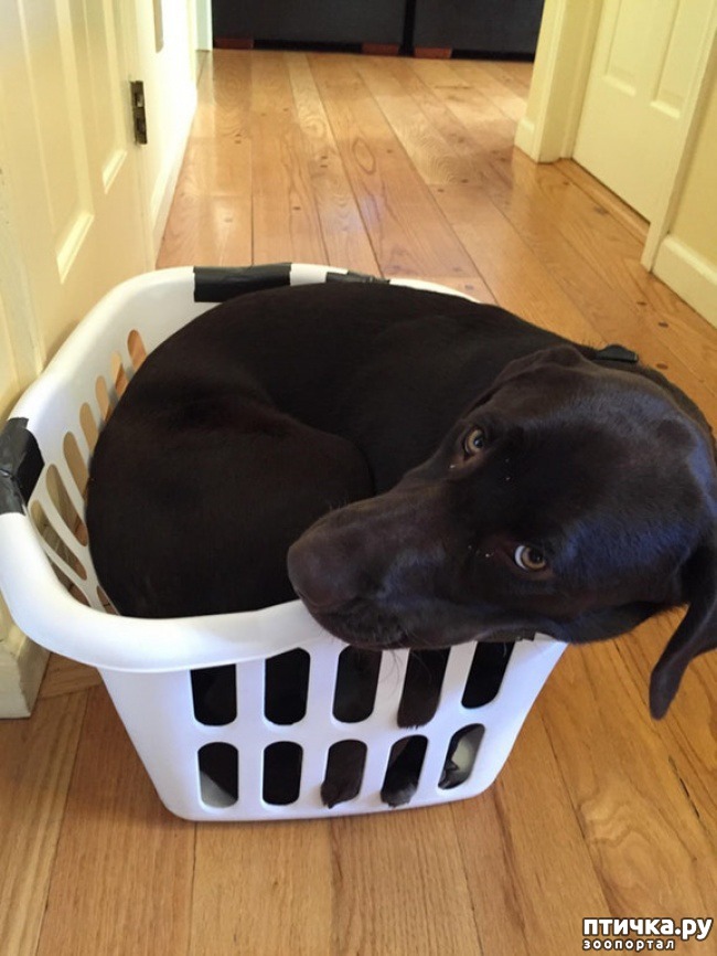 ���� 12: ��������, ������� ����� �������� ����� ������ �������� � ����� ����������� ������)))