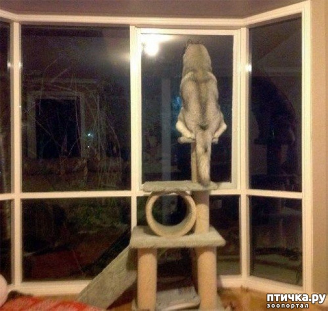 ���� 13: ��������, ������� ����� �������� ����� ������ �������� � ����� ����������� ������)))