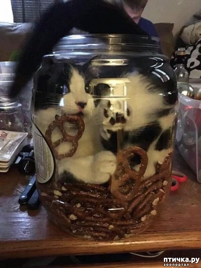 ���� 14: ��������, ������� ����� �������� ����� ������ �������� � ����� ����������� ������)))