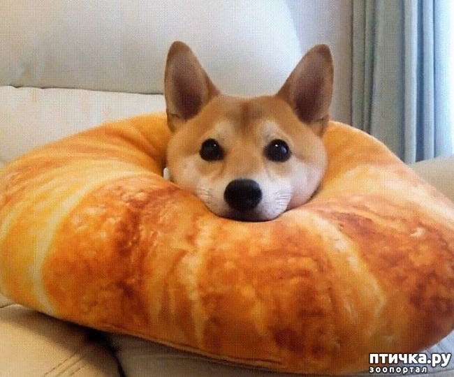 ���� 16: ��������, ������� ����� �������� ����� ������ �������� � ����� ����������� ������)))