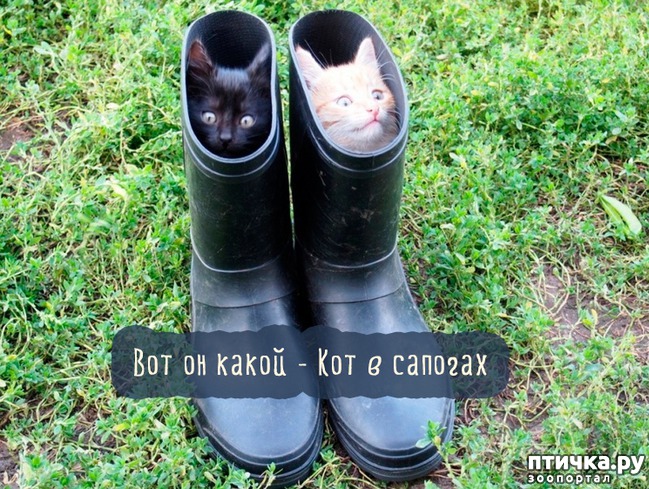 ���� 18: ��������, ������� ����� �������� ����� ������ �������� � ����� ����������� ������)))