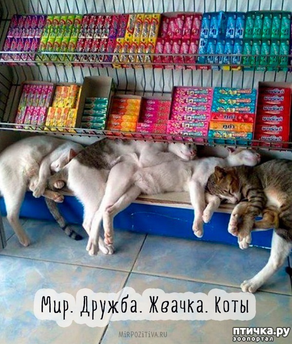 ���� 20: ��������, ������� ����� �������� ����� ������ �������� � ����� ����������� ������)))