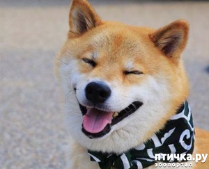 ����: ����� ��������� ������ � ����