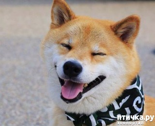 ���� 1: ����� ��������� ������ � ����