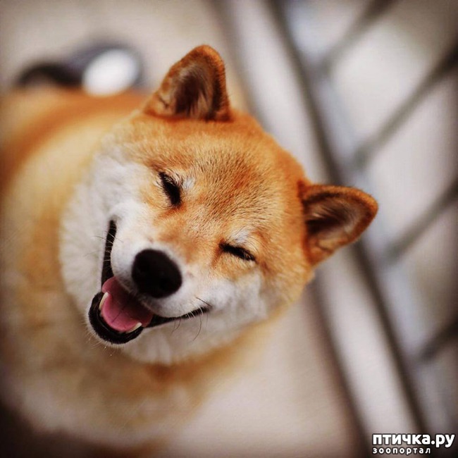 ���� 2: ����� ��������� ������ � ����