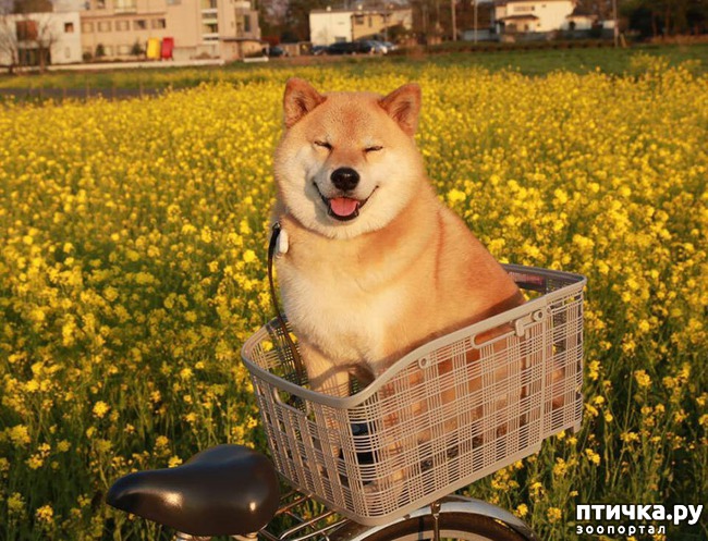 ���� 4: ����� ��������� ������ � ����